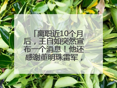 离职近10个月后，王自如突然宣布一个消息！他还感谢董明珠雷军，回应“没看过格力工资条”：真的不那么重要！