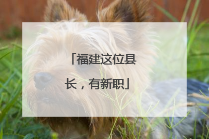福建这位县长，有新职