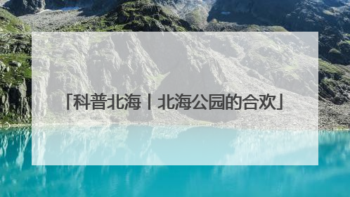 科普北海丨北海公园的合欢