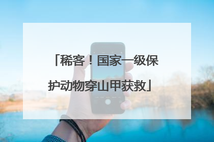 稀客！国家一级保护动物穿山甲获救