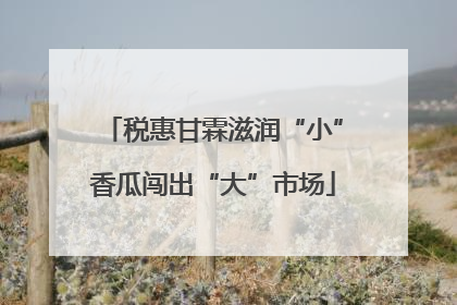 税惠甘霖滋润“小”香瓜闯出“大”市场