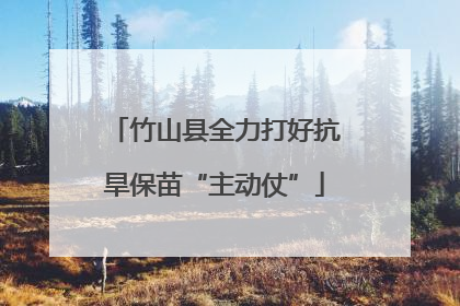 竹山县全力打好抗旱保苗“主动仗”