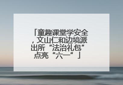 童趣课堂学安全，文山仁和边境派出所“法治礼包”点亮“六一”