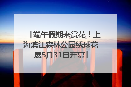 端午假期来赏花！上海滨江森林公园绣球花展5月31日开幕