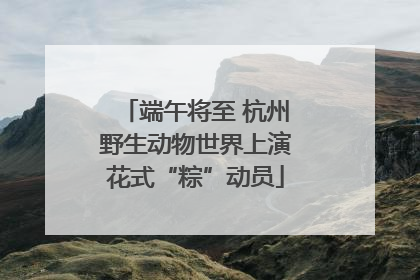端午将至 杭州野生动物世界上演花式“粽”动员