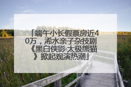 端午小长假票房近40万，浠水亲子杂技剧《黑白侠影·太极熊猫》掀起观演热潮
