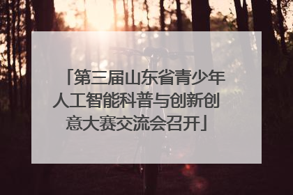 第三届山东省青少年人工智能科普与创新创意大赛交流会召开
