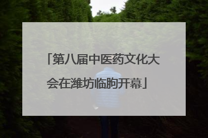 第八届中医药文化大会在潍坊临朐开幕