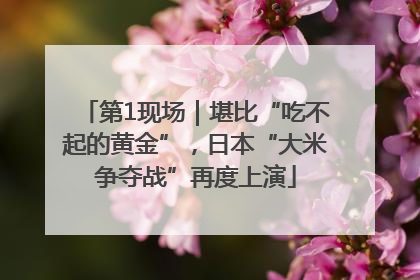 第1现场｜堪比“吃不起的黄金”，日本“大米争夺战”再度上演