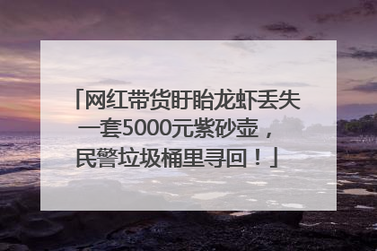 网红带货盱眙龙虾丢失一套5000元紫砂壶，民警垃圾桶里寻回！