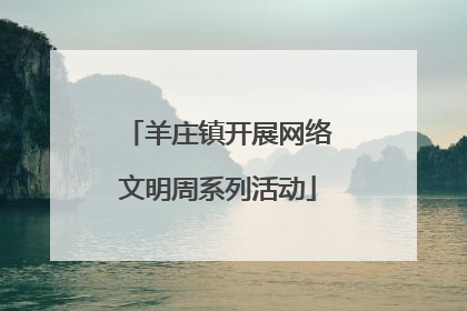 羊庄镇开展网络文明周系列活动