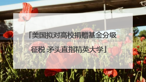 美国拟对高校捐赠基金分级征税 矛头直指精英大学