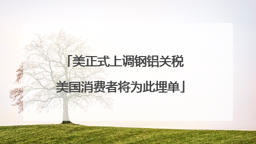 美正式上调钢铝关税 美国消费者将为此埋单