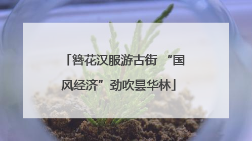 簪花汉服游古街 “国风经济”劲吹昙华林