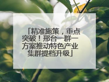 精准施策，重点突破！邢台一群一方案推动特色产业集群提档升级