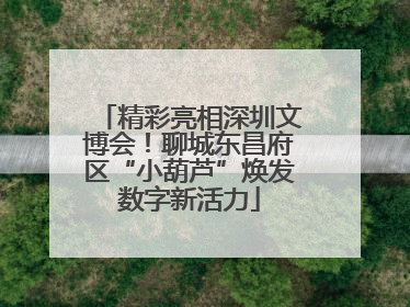 精彩亮相深圳文博会！聊城东昌府区“小葫芦”焕发数字新活力