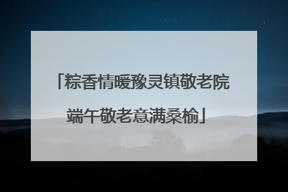 粽香情暖豫灵镇敬老院 端午敬老意满桑榆