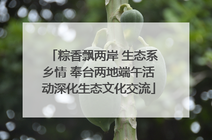 粽香飘两岸 生态系乡情 奉台两地端午活动深化生态文化交流
