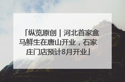 纵览原创｜河北首家盒马鲜生在唐山开业，石家庄门店预计8月开业