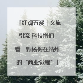 红观五溪｜文旅引流 科技增值 看一颗杨梅在靖州的“商业觉醒”