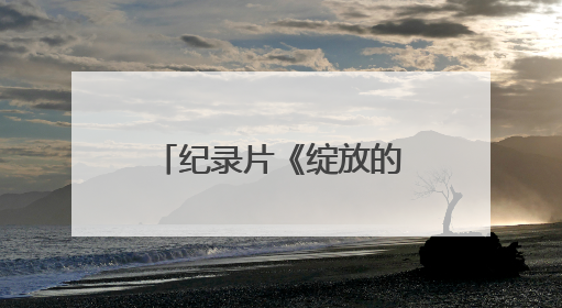 纪录片《绽放的花儿》：共绘融合发展时代画卷