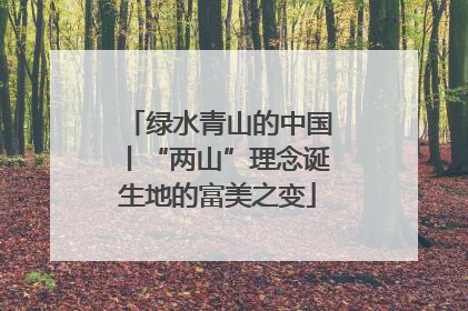 绿水青山的中国丨“两山”理念诞生地的富美之变