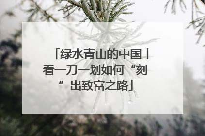绿水青山的中国丨看一刀一划如何“刻”出致富之路