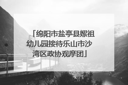 绵阳市盐亭县嫘祖幼儿园接待乐山市沙湾区政协观摩团