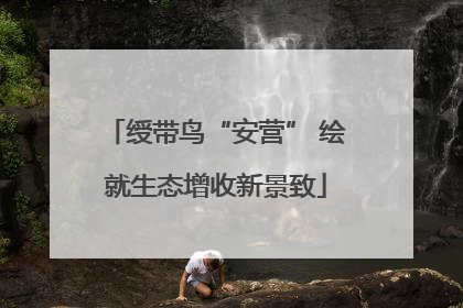 绶带鸟“安营” 绘就生态增收新景致