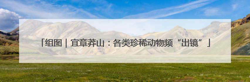 组图｜宜章莽山：各类珍稀动物频“出镜”