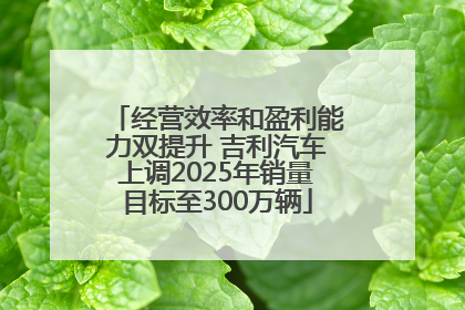 经营效率和盈利能力双提升 吉利汽车上调2025年销量目标至300万辆
