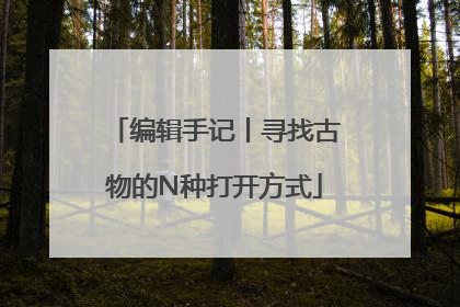 编辑手记丨寻找古物的N种打开方式