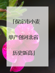 保定市小麦单产创河北省历史新高