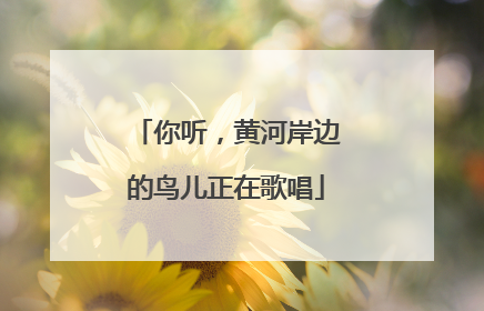 你听，黄河岸边的鸟儿正在歌唱