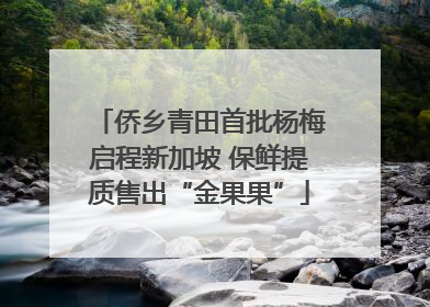 侨乡青田首批杨梅启程新加坡 保鲜提质售出“金果果”