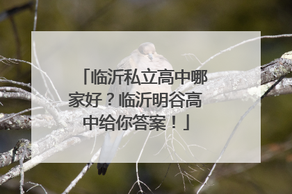 临沂私立高中哪家好？临沂明谷高中给你答案！