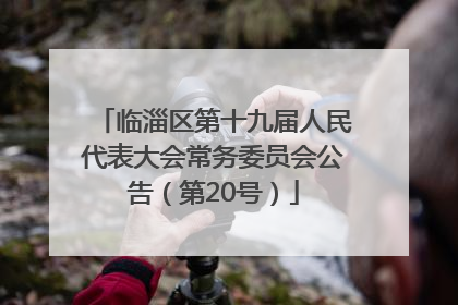 临淄区第十九届人民代表大会常务委员会公告（第20号）