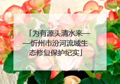 为有源头清水来——忻州市汾河流域生态修复保护纪实