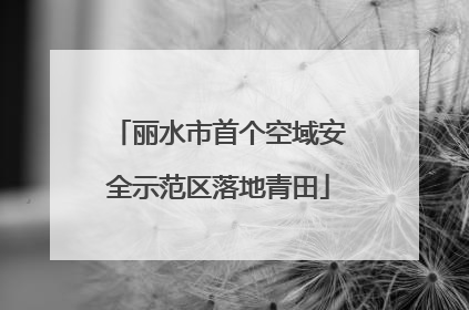 丽水市首个空域安全示范区落地青田