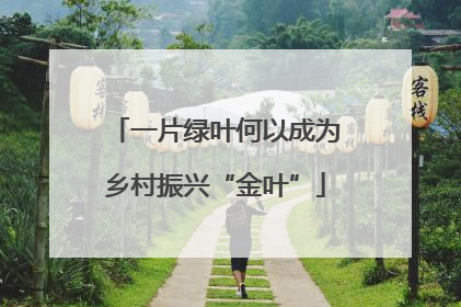 一片绿叶何以成为乡村振兴“金叶”