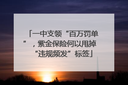 一中支领“百万罚单”，紫金保险何以甩掉“违规频发”标签