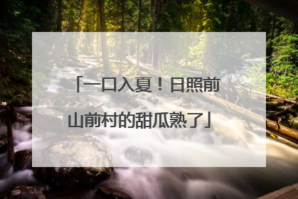 一口入夏！日照前山前村的甜瓜熟了