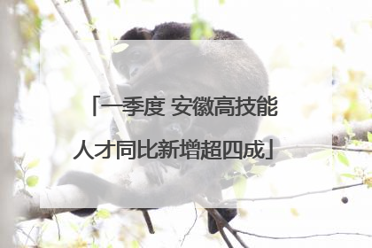 一季度 安徽高技能人才同比新增超四成