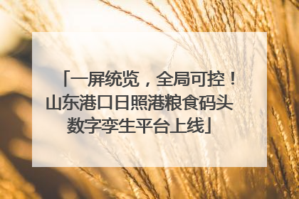 一屏统览，全局可控！山东港口日照港粮食码头数字孪生平台上线