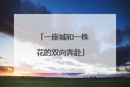 一座城和一株花的双向奔赴