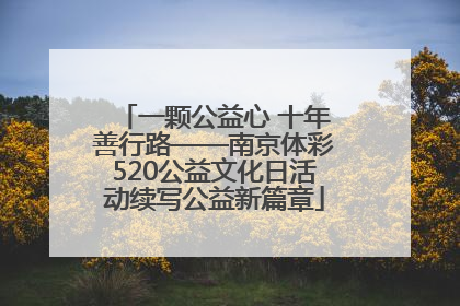 一颗公益心 十年善行路——南京体彩520公益文化日活动续写公益新篇章