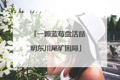 一颗蓝莓盘活昆明东川尾矿困局