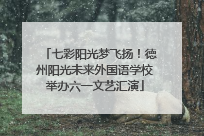七彩阳光梦飞扬！德州阳光未来外国语学校举办六一文艺汇演