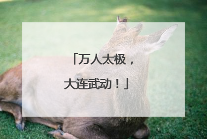 万人太极，大连武动！