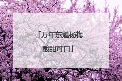 万年东魁杨梅 酸甜可口